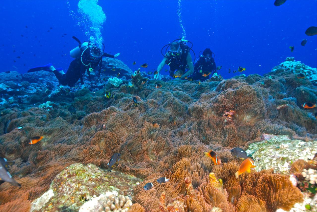 Reef Resort Vava'U Utungake Екстериор снимка